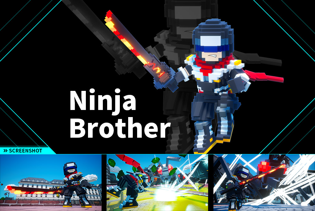 Ninja Brother