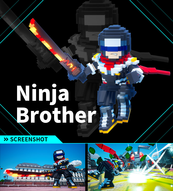 Ninja Brother